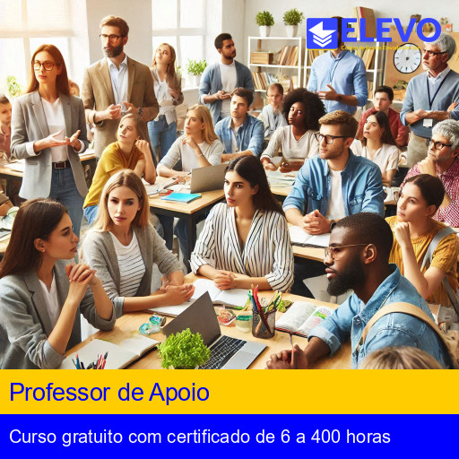 Professor de Apoio